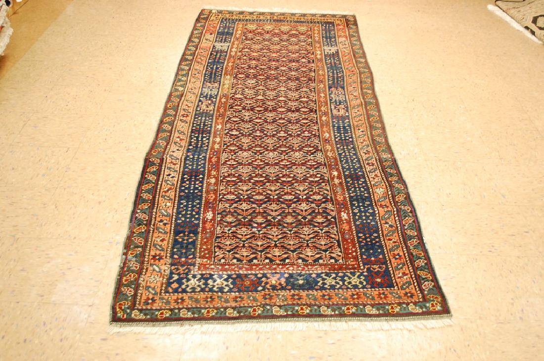 Caucasian SHIRVAN Runner Rug 3.9x10 (1 of 10)