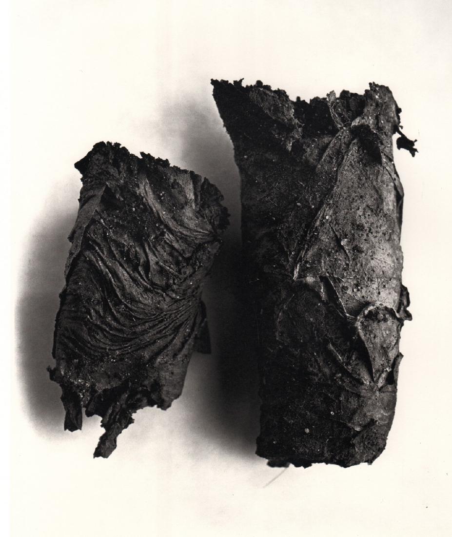 IRVING PENN - Cigarette No. 69, New York, 1972: Artist: IRVING PENN Print Title: Cigarette No. 69, New York, 1972 Medium: Quad-tone Photoengraving Printed 1991 in the US Image size (inches) approx.10 x 8” Irving Penn was an American photographer 