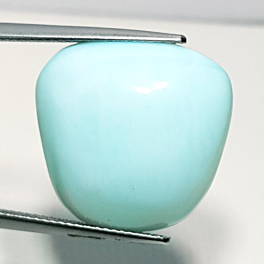 18.15 ct Milky White Opal - Coted (1 of 5)