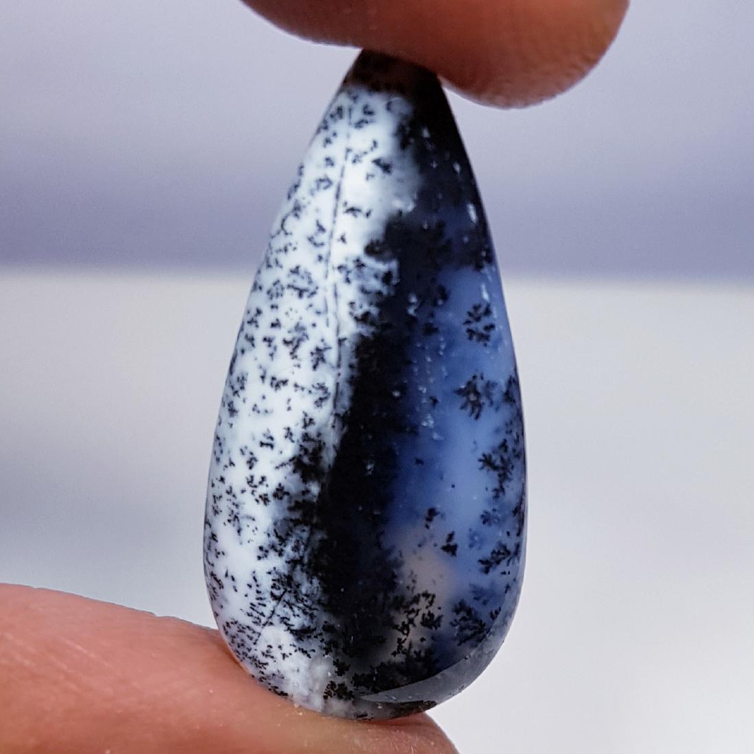 14.20 ct Natural Dendrite Opal (1 of 5)