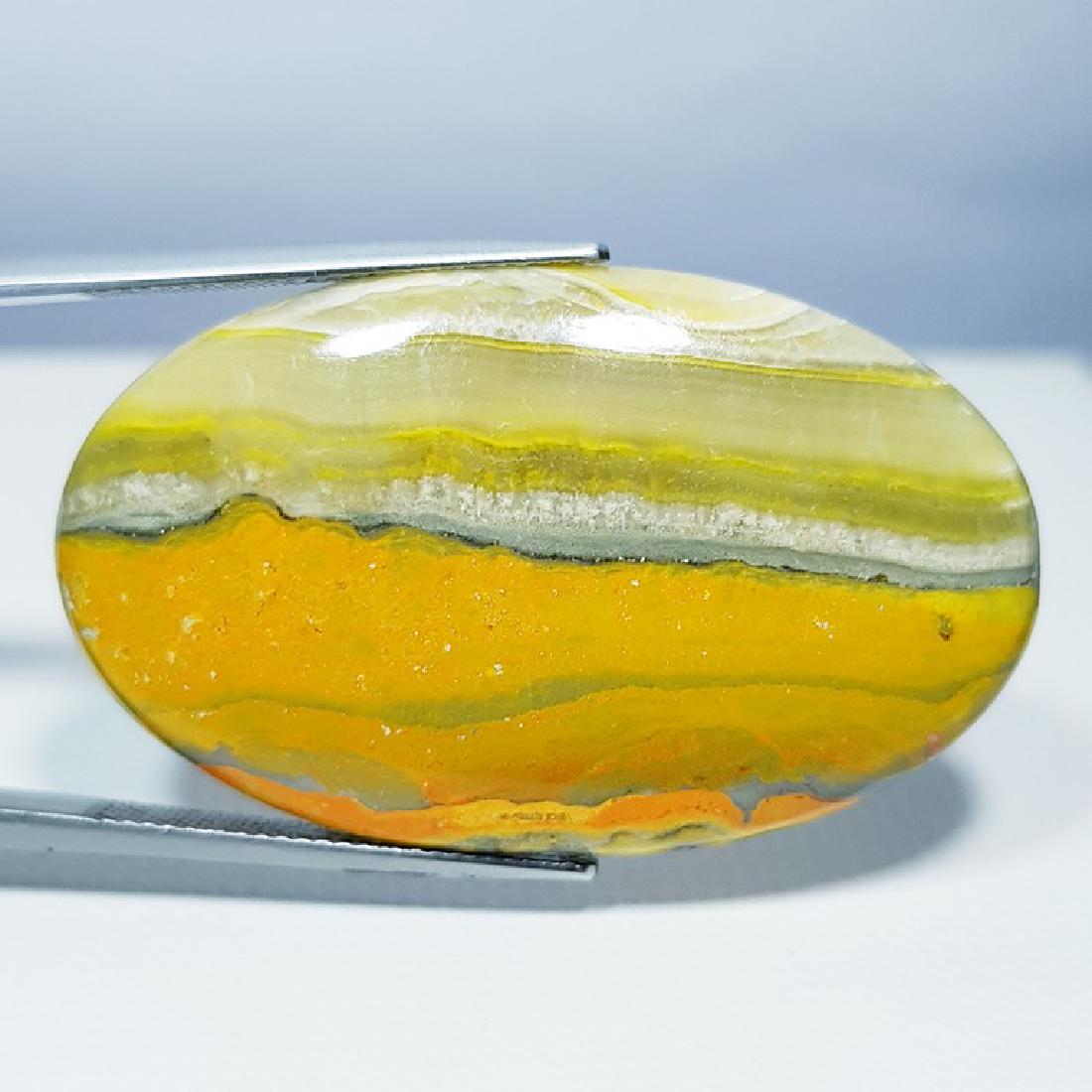 51.58 ct Natural Bumble Bee Jasper (1 of 5)