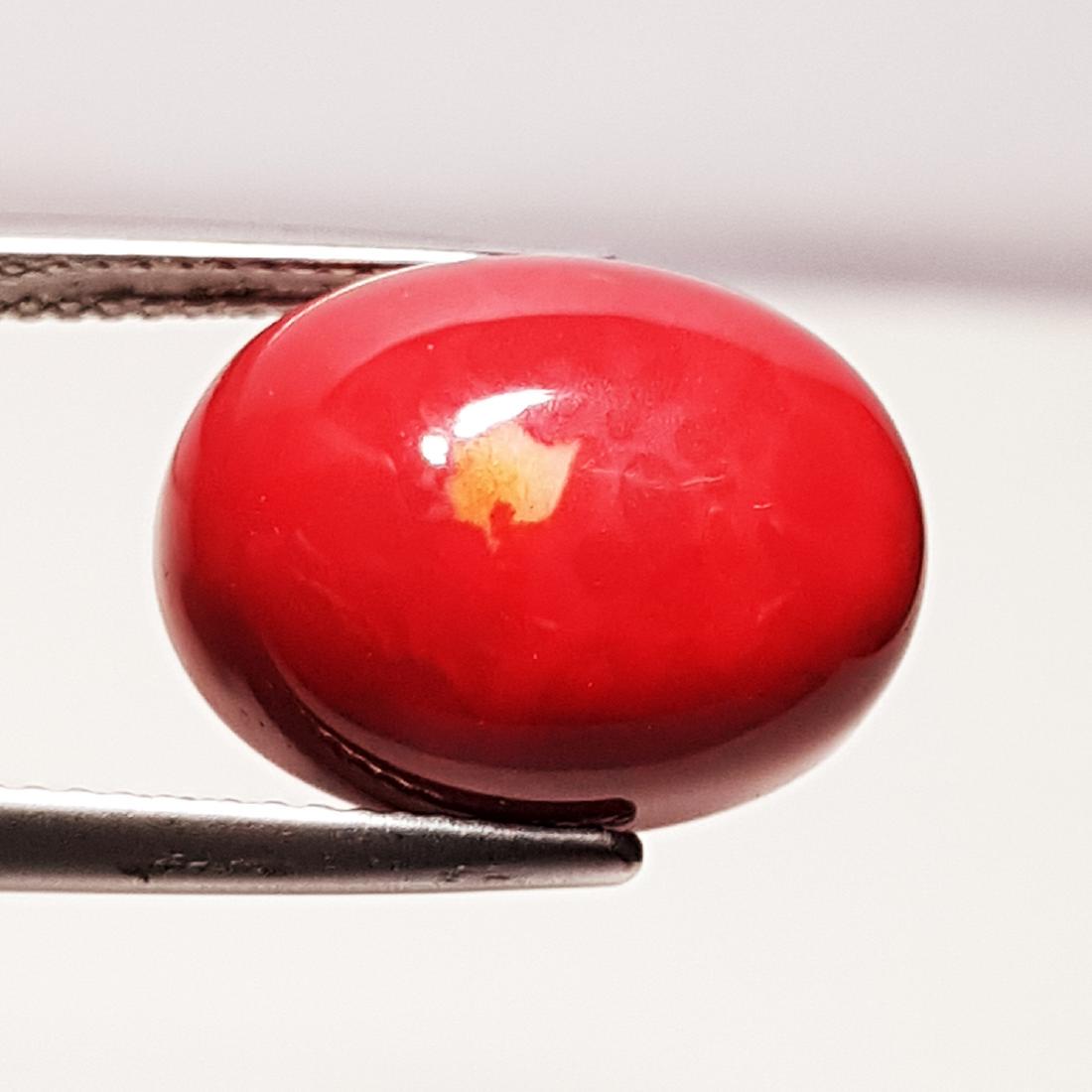 9.96 ct Fantastic Oval Cut Red Coral - Coted (1 of 5)