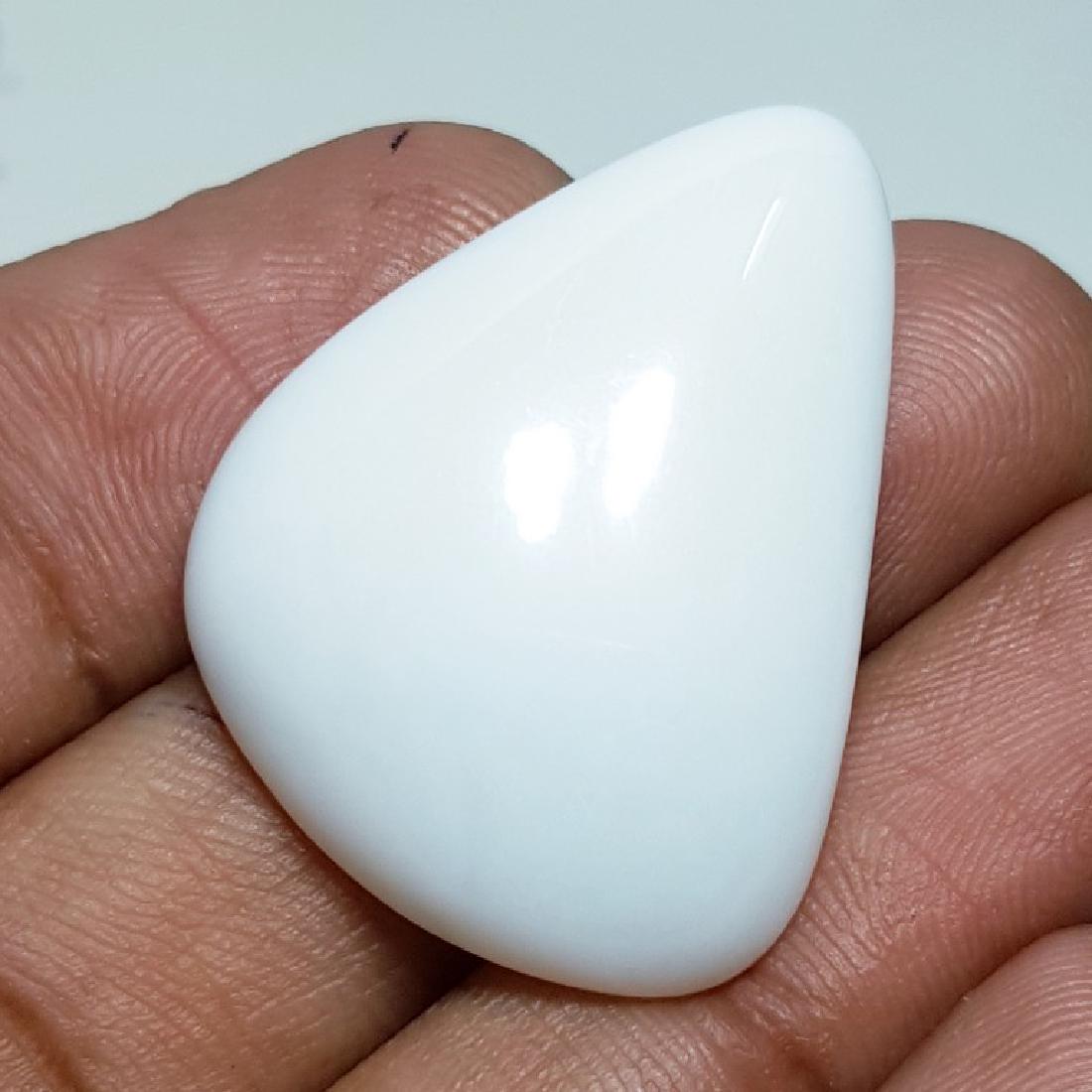 27.90 ct Milky White Opal - Coted (1 of 5)