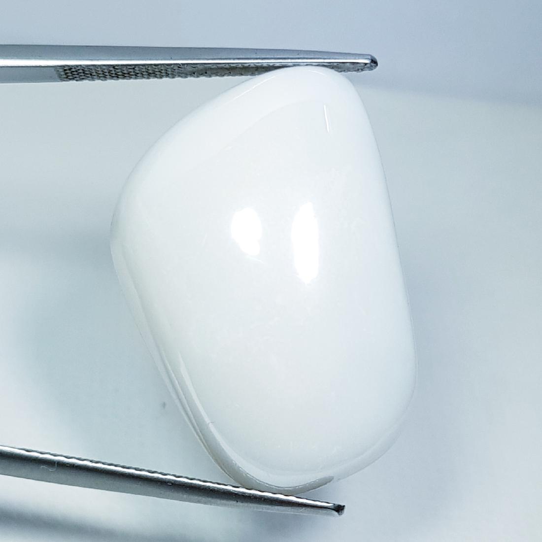 24.86 ct Opal - Coted (1 of 5)