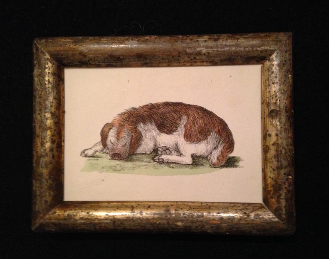 1855 hand colored engraving of a sleeping pooch (1 of 2)