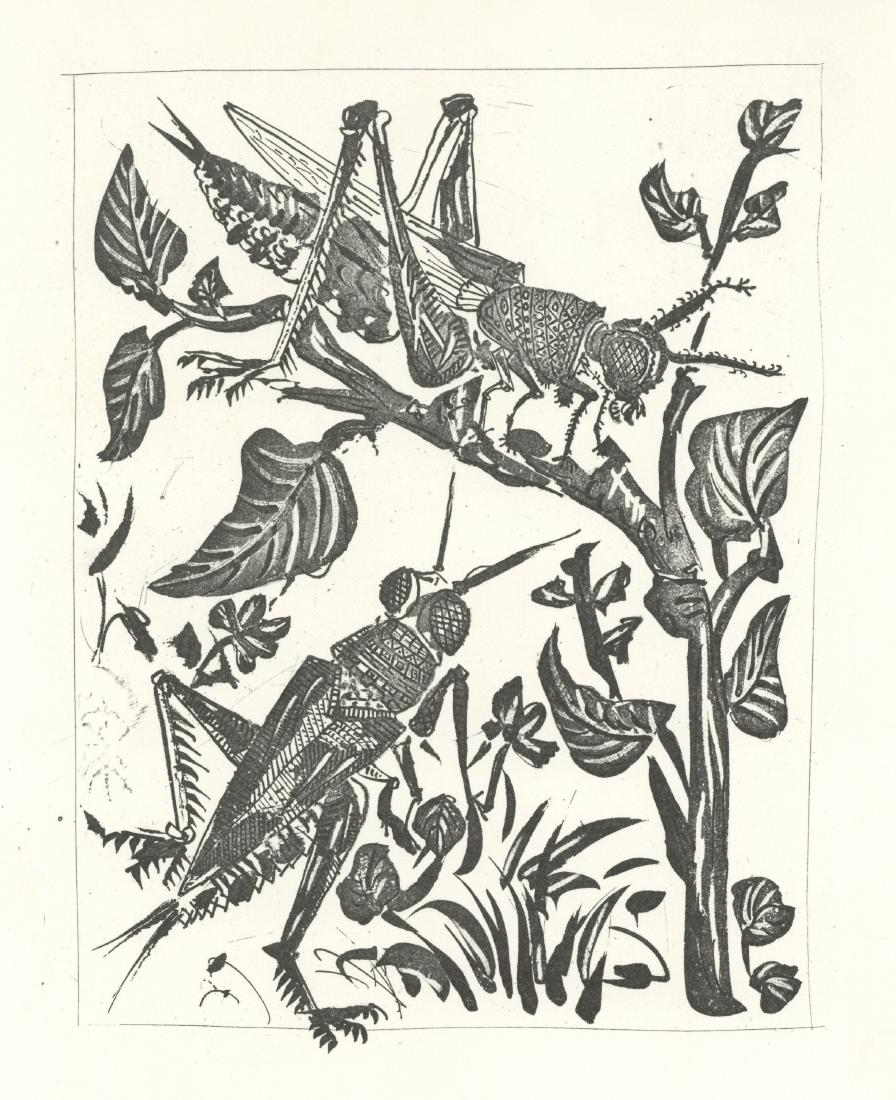 Pablo Picasso "La Sauterelle" The Grasshopper | Buffon (1 of 1)