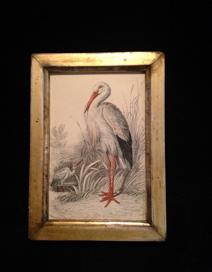 1836 hand colored stork engraving (1 of 2)