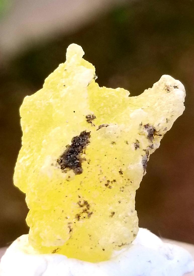 4 GRAMS LEMON YELLOW BEAUTIFUL BRUCITE MINERAL: No Reserve! Title: 4 GRAMS LEMON YELLOW BEAUTIFUL BRUCITE MINERAL Origin: AFGHANISTAN Weight: 4 grams Description: 4 GRAMS LEMON YELLOW BEAUTIFUL BRUCITE MINERAL Shipping: Domestic: Flat-rate of $18.0