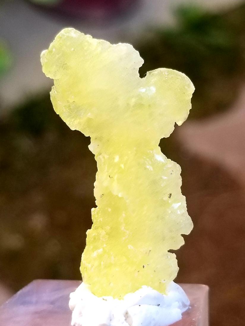 5.1 GRAMS LEMON YELLOW BEAUTIFUL BRUCITE MINERAL: No Reserve! Title: 5.1 GRAMS LEMON YELLOW BEAUTIFUL BRUCITE MINERAL Origin: AFGHANISTAN Weight: 5.1 grams Description: 5.1 GRAMS LEMON YELLOW BEAUTIFUL BRUCITE MINERAL Shipping: Domestic: Flat-rate of