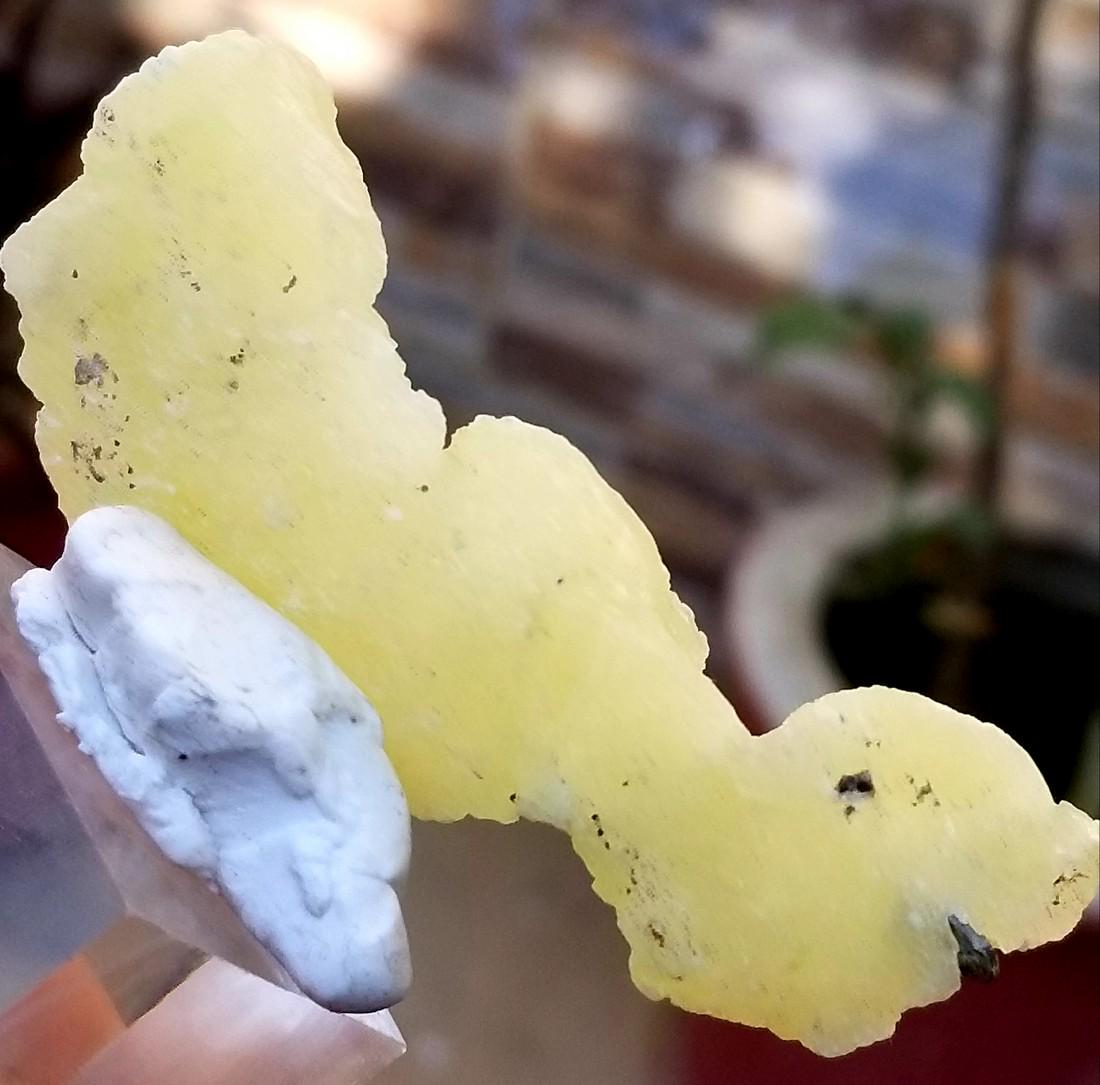 33.5 GRAMS LEMON YELLOW BEAUTIFUL BRUCITE MINERAL: No Reserve! Title: 33.5 GRAMS LEMON YELLOW BEAUTIFUL BRUCITE MINERAL Origin: AFGHANISTAN Weight: 33.5 grams Description: 33.5 GRAMS LEMON YELLOW BEAUTIFUL BRUCITE MINERAL Shipping: Domestic: Flat-rate
