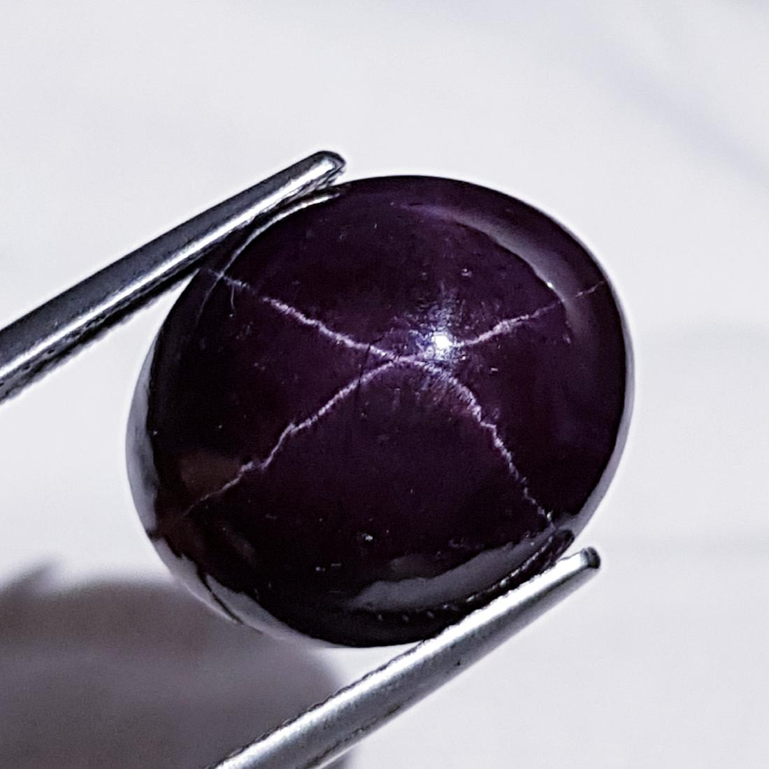 24.41 ct Top Quality Four Ray Star Garnet (1 of 5)