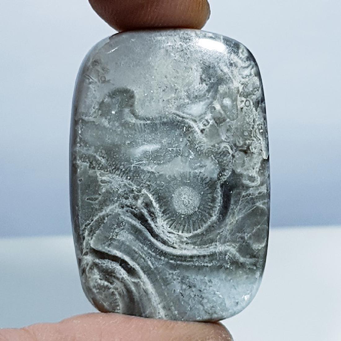 41.30 ct Natural Brown Jasper (1 of 6)