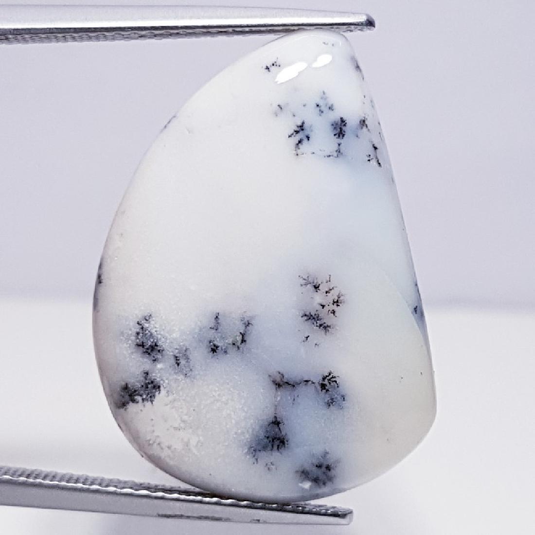 19.65 ct Natural Dendrite Opal (1 of 5)