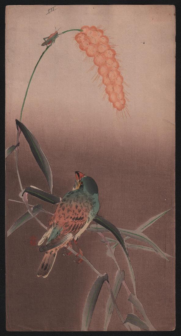 Ohara Koson - Finch on Cornstalk with Grasshopper: Artist: Ohara Koson. Subject: Finch on Cornstalk with Grasshopper. Publisher: Daikokuya. Date: c.1910's. Size: Measures: 7.5" x 14". Condition: Excellent color & impression. A tiny mark to right of co