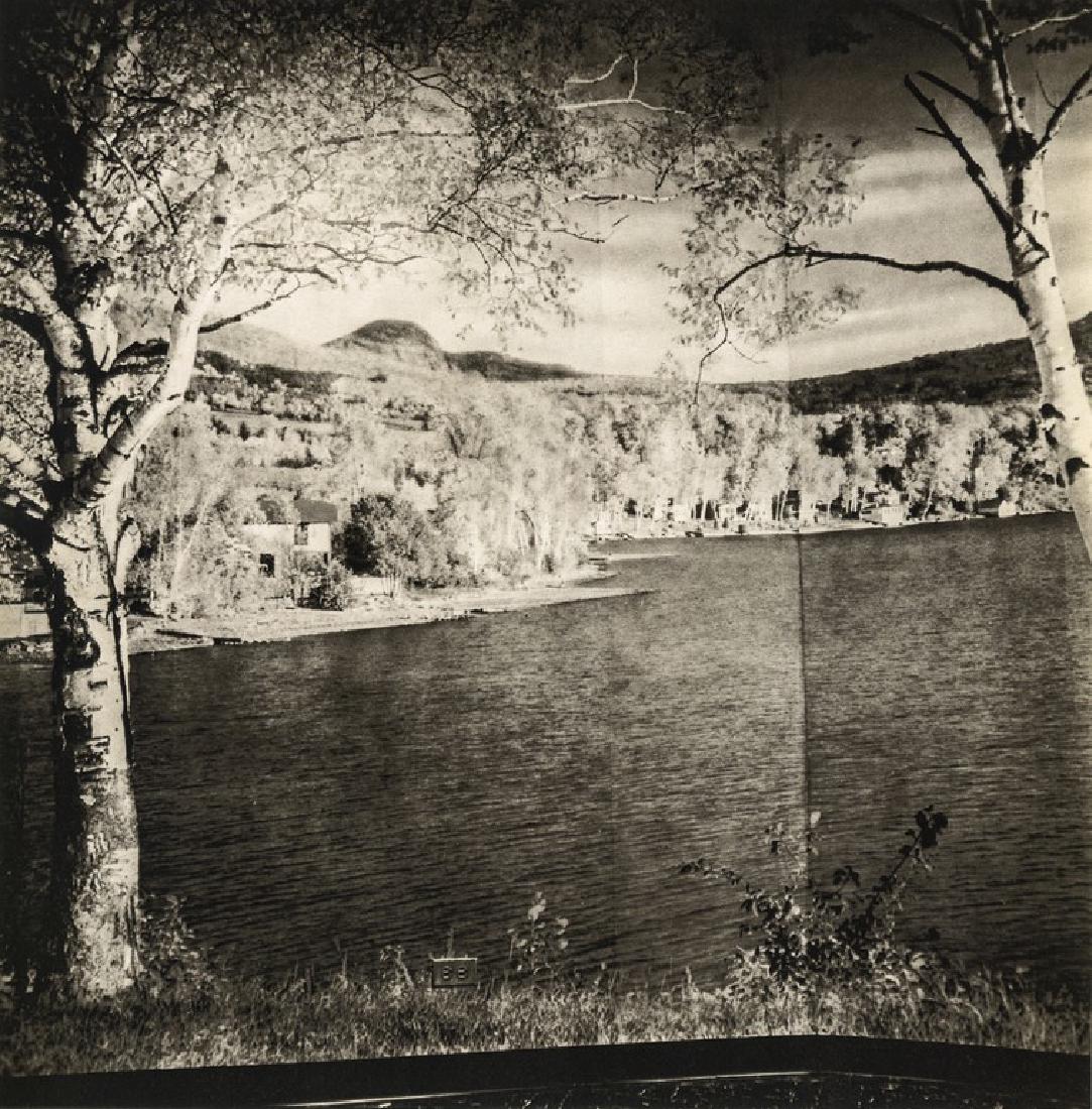 DIANE ARBUS - A Lobby in a Building, NYC, 1966 (1 of 1)