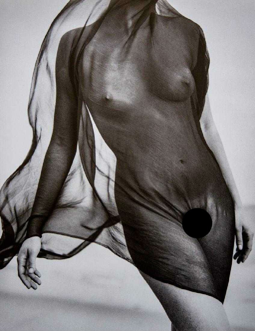 HERB RITTS - Female Torso with Veil, Paradise Cove 1984 (1 of 2)