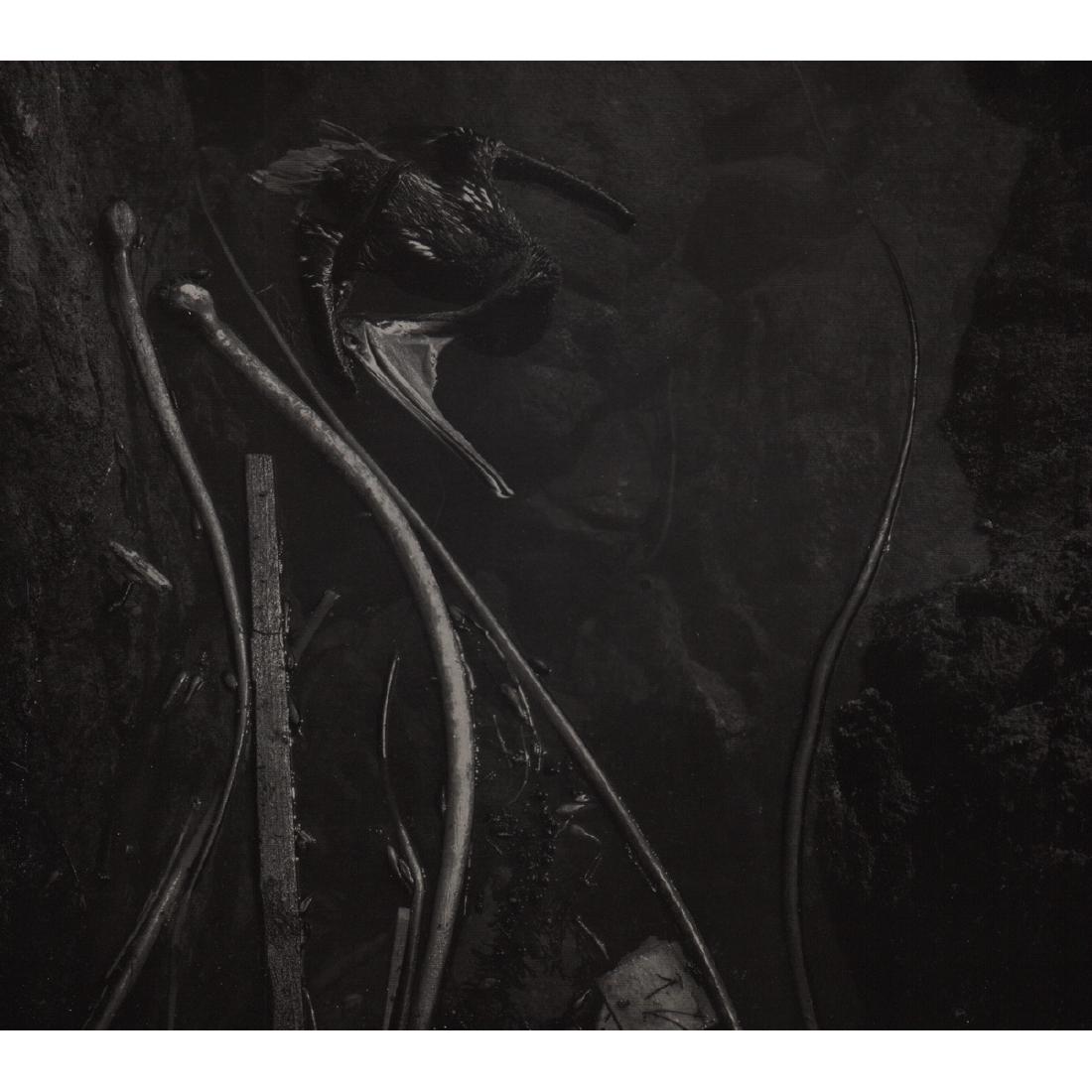 EDWARD WESTON - Tidepool, 1945 (1 of 1)