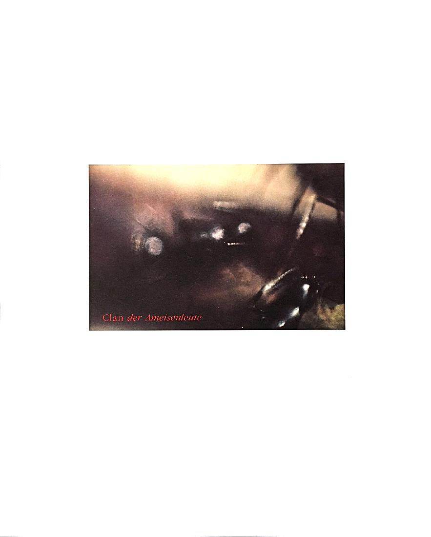 1983 - Lothar Baumgarten: Title: ""1983 Artist: Lothar Baumgarten Medium: Color lithograph on paper Dimensions: 18 1/4" x 14 3/4" Description: Signed with initials in pencil verso Reserve: $200.00 Shipping: Domestic: Flat-rate