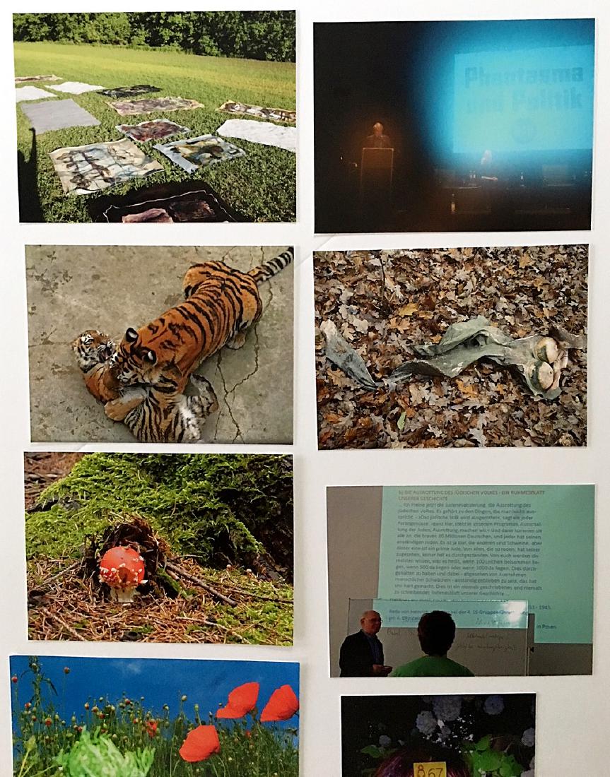 Ten Top Photographs 2015 - Michaela Eichwald: Title: Ten Top Photographs 2015 Artist: Michaela Eichwald Medium: Series of 10 inkjet prints Dimensions: 5" x 7" and 5" x 7 1/2" Description: Signed and numbered certificate ed. 100 Reserve: $400.00 S