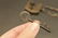 Brass Colt Firearms Ammo Box Padlock Lock & key - 11