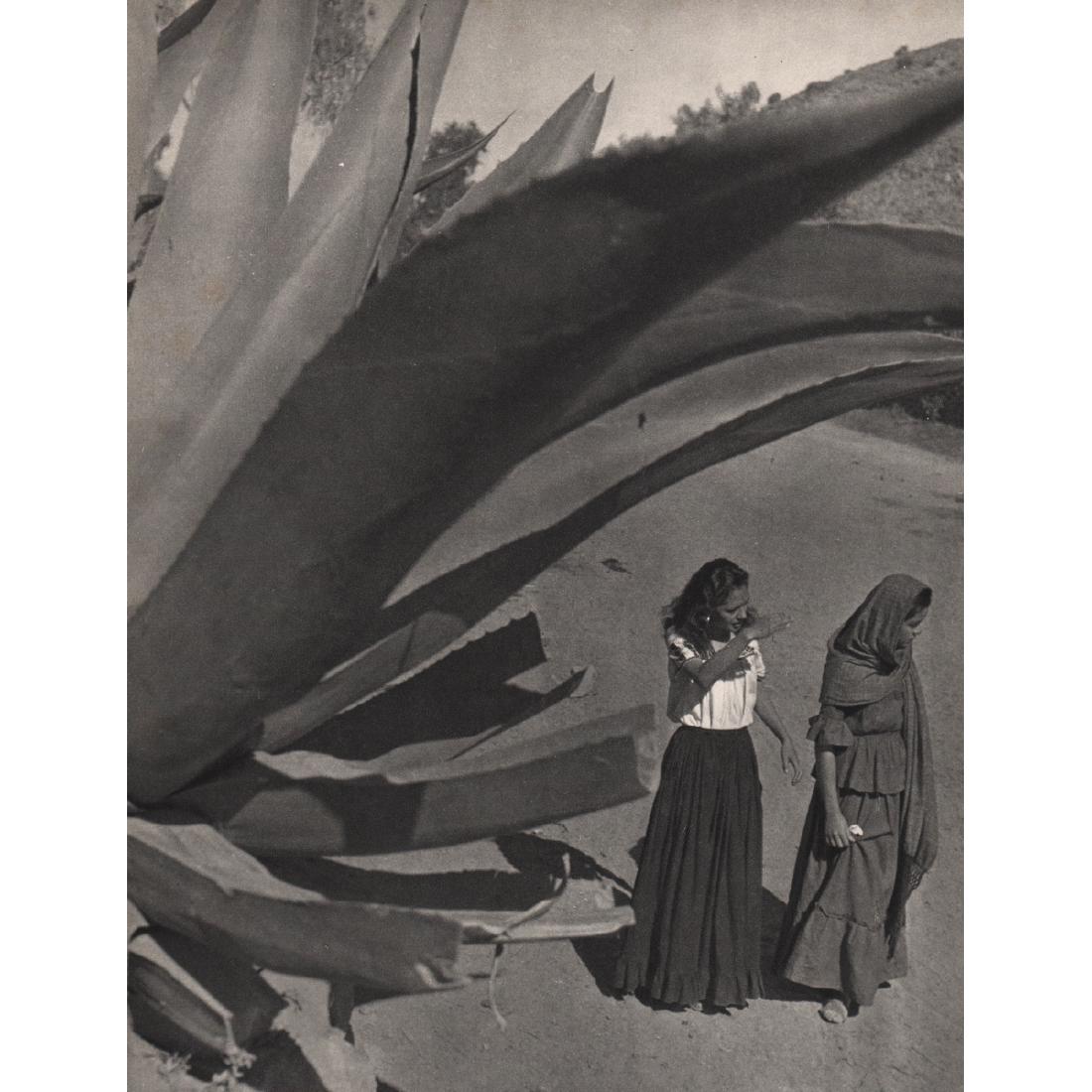 MARCEL GAUTHEROT - A l'ombre des Magueyes: Artist: MARCEL GAUTHEROT Print Title: A l'ombre des Magueyes, Mexico Medium: Sheet-fed Gravure Printing Date: 1930's Printed in France Image Size approx: 8 X 10.75 inches Marcel Gautherot (1910-1996) 