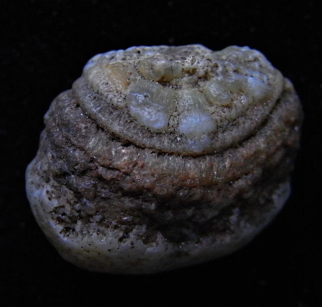 PRETTY EYE AGATE - 100 % NATURAL: Title: PRETTY EYE AGATE - 100 % NATURAL Origin: Alashan Area, Inner Mongolia, China Size: 1.8x1.6x1.2 cm / 4.85 gram Description: pretty eye agate with concetric structures Reserve: $5.00 Shipping: Do