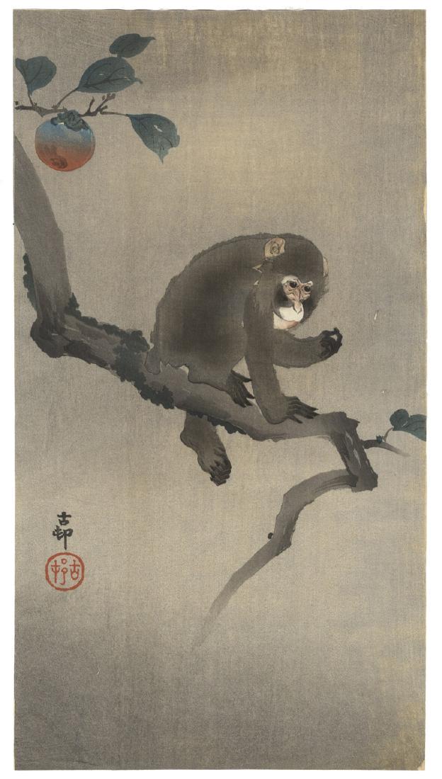 Ohara Koson (1877-1945) Monkey on Persimmon Tree: Artist: Ohara Koson (1877-1945) Title: Monkey on Persimmon Tree Series: Publisher: Date: Early 20th century Medium: Japanese Woodblock Print Size/Format: 18.7 x 34.2 cm Reserve: $600.00 Shipping: