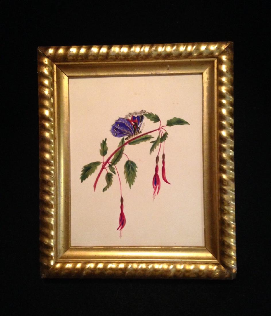 C1840 original watercolor butterfly with gold (1 of 4)