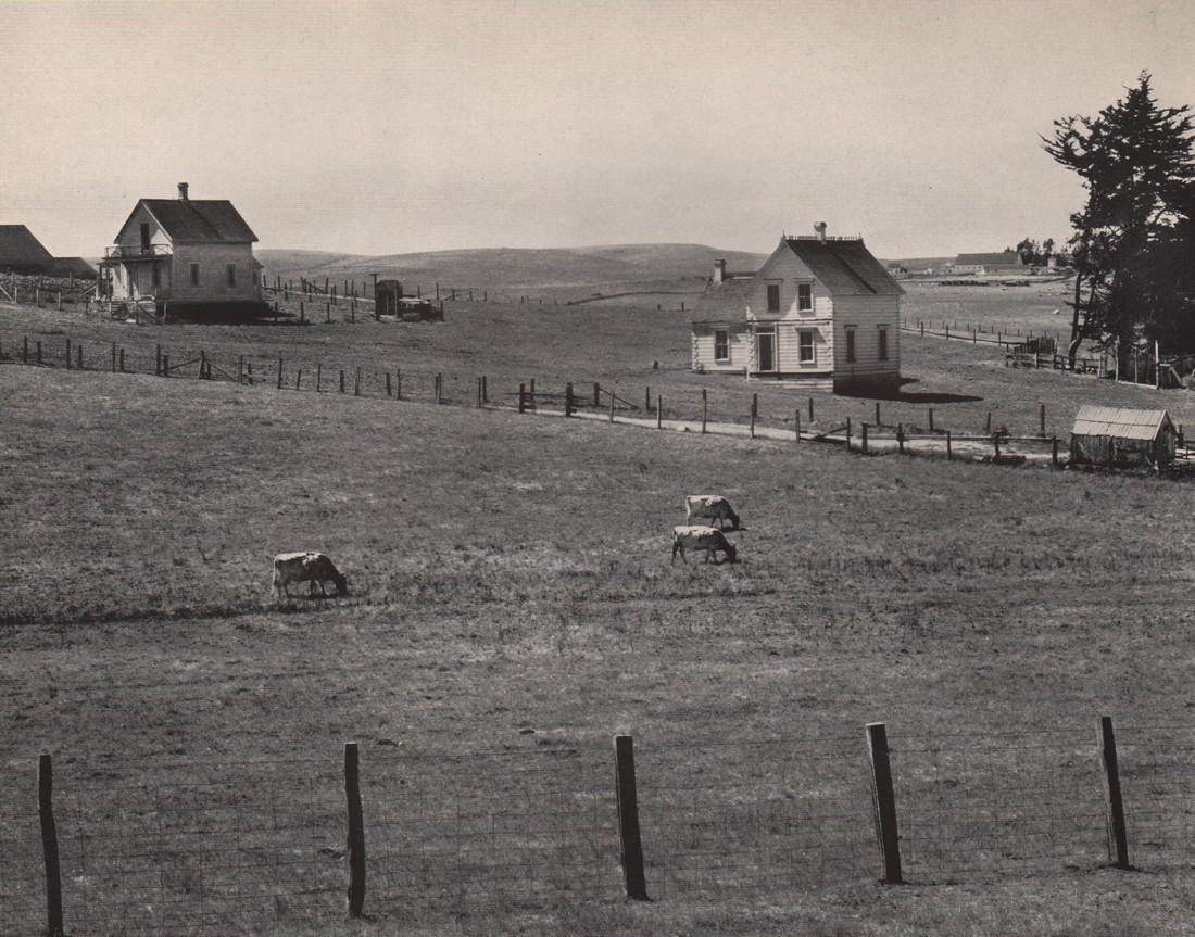EDWARD WESTON- Near Tomales: Artist: EDWARD WESTON Print Title:Near Tomales Medium: Photoengraving Printed in USA in the 1940Â’s Image Size approx: 7.5 x 9 Edward Weston 1886-1958) was a 20th-century American photographer, con