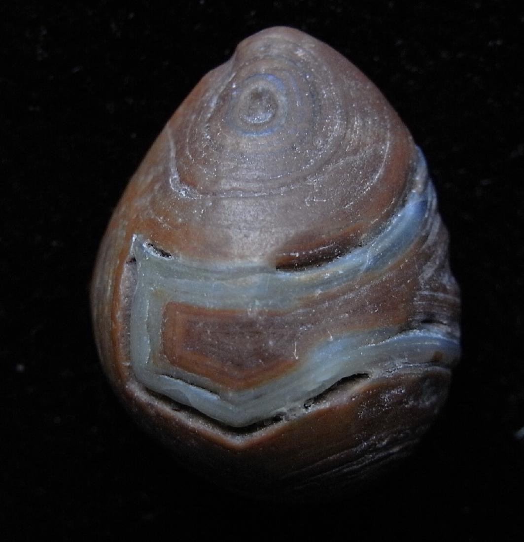 DROP SHAPED EYE AGATE - 100 % NATURAL: Title: DROP SHAPED EYE AGATE - 100 % NATURAL Origin: Alashan Area, Inner Mongolia, China Size: 2.1x1.6x1.1 cm / 4.3 gram Description: drop shaped eye agate. naturally smoothened by wind and sand Reser
