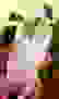 item-69464579=3