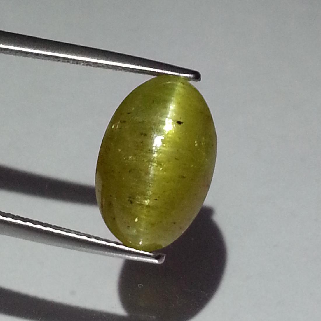 11.55 ct Top Grade Natural Apatite cat's Eye: No Reserve! Title: 11.55 ct Top Grade Natural Apatite cat's Eye Color/Clarity: Semi -Transparent Loosegemstone Carat Weights: 11.55 Size/Dimensions: 15.11 x 9.83 x 9.11 Additional Information: Oval - 