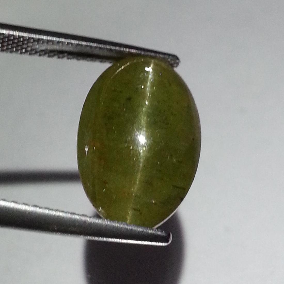 14.30 ct AAA Quality Natural Apatite cat's Eye: No Reserve! Title: 14.30 ct AAA Quality Natural Apatite cat's Eye Color/Clarity: Semi -Transparent Loosegemstone Carat Weights: 14.3 Size/Dimensions: 15.90 x 10.70 x 9.40 Additional Information: Oval 