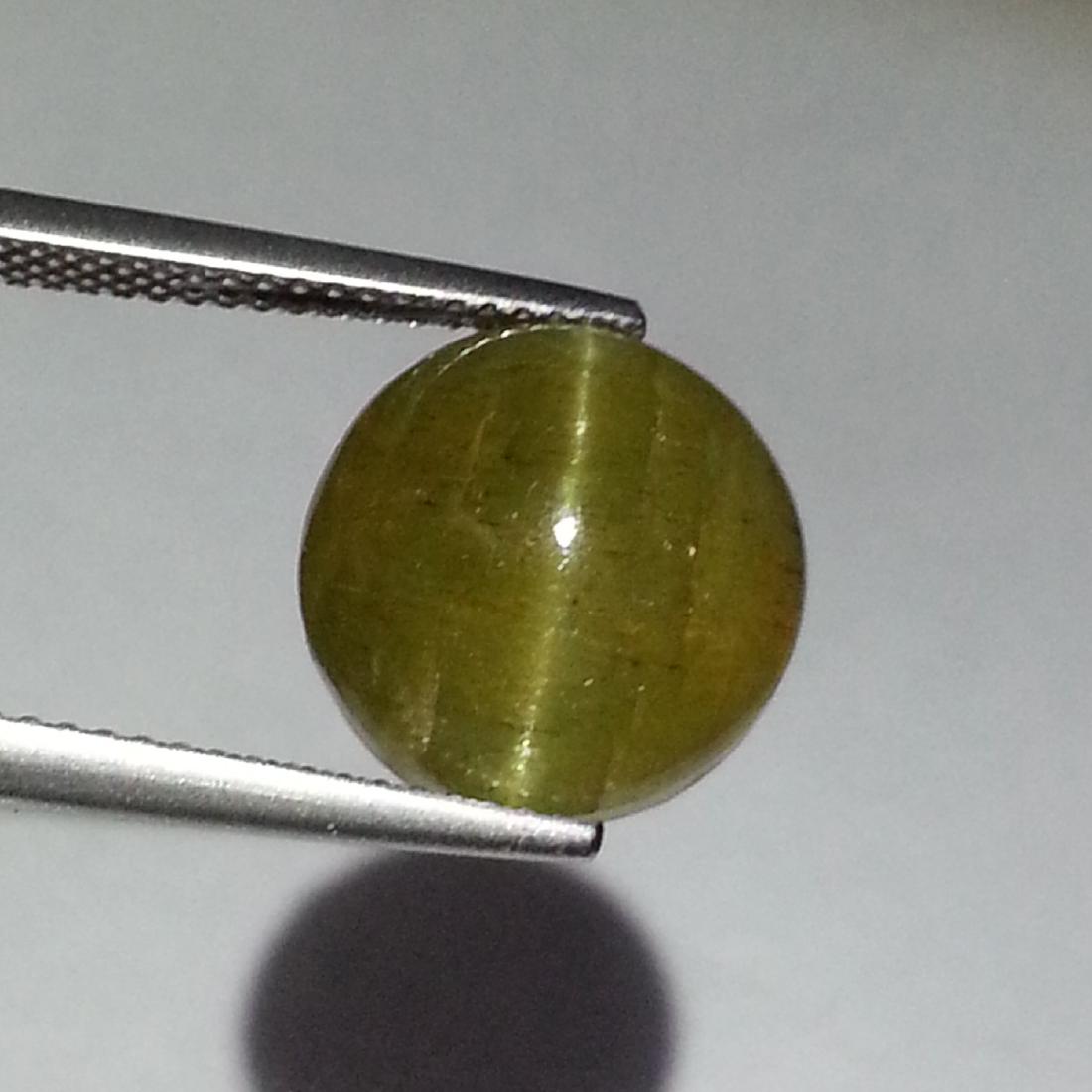 11.75 ct Top Grade Natural Apatite cat's Eye (1 of 6)