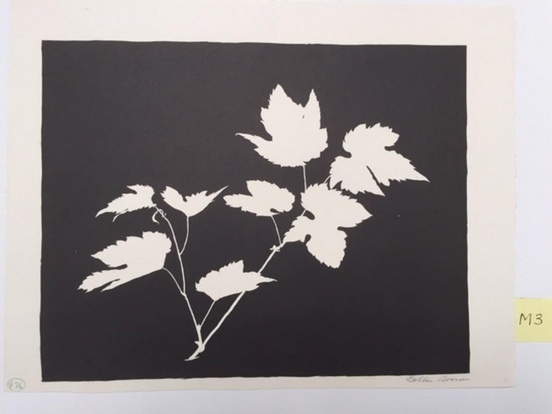Maple Leave - Bolton Brown: Title: Maple Leave - Bolton Brown Medium: Lithograph Size/Format: 9 1/2 x 7 1/2 Reserve: $120.00 Shipping: Domestic: Flat-rate of $25.00 to anywhere within the contiguous U.S. International: Foreign