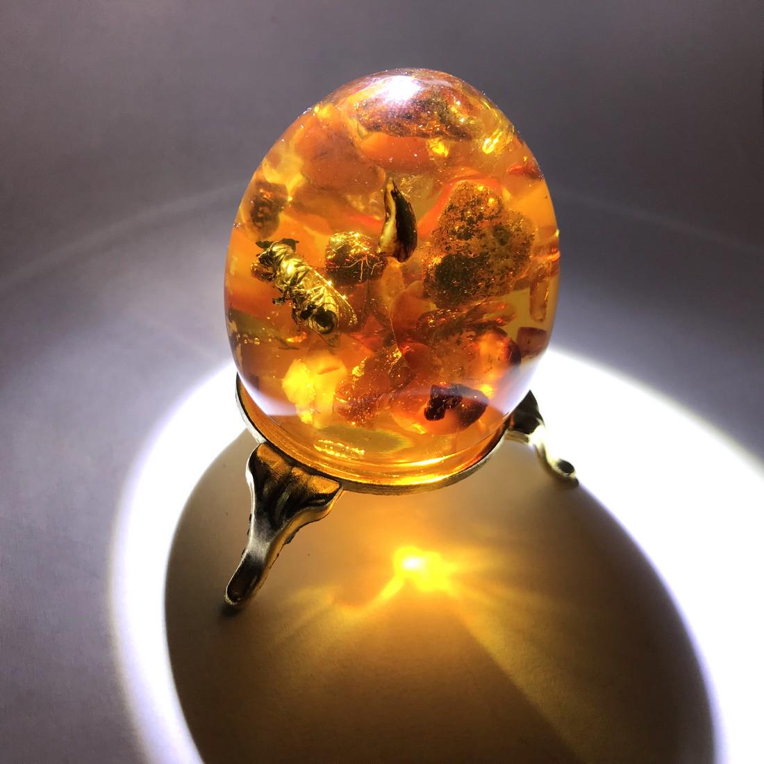 Baltic Amber egg with bee insect inclusion, 57x44mm  on (1 of 9)
