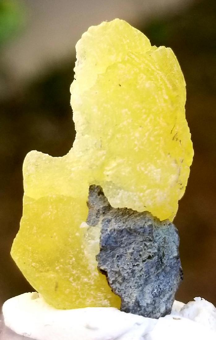 5 GRAMS LEMON YELLOW BEAUTIFUL BRUCITE MINERAL: Title: 5 GRAMS LEMON YELLOW BEAUTIFUL BRUCITE MINERAL Origin: Afghanistan Weight: 5 grams 5 GRAMS LEMON YELLOW BEAUTIFUL BRUCITE MINERAL Reserve: $25.00 Shipping: Domestic: Flat-rate of $18.00 to anyw