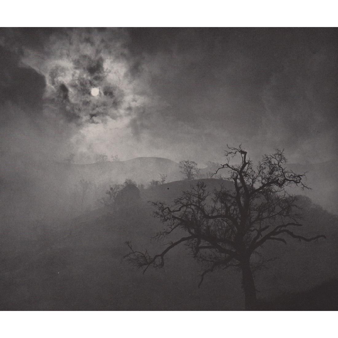 WYNN BULLOCK - Stark Tree: Artist: WYNN BULLOCK Print Title: Stark Tree Medium: Sheet-fed Gravure Printing Date: 1950's Printed in Great Britain Image Size approx: 7.5 x 6.25 inches Wynn Bullock (1902-1975) was an American phot