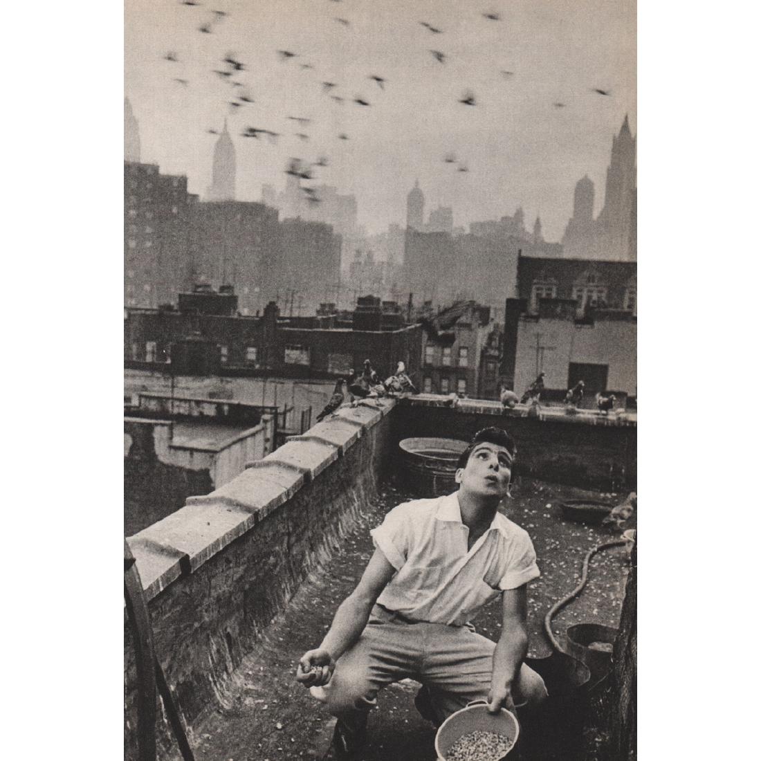 BRUCE DAVIDSON - Pigeon: Artist: BRUCE DAVIDSON Print Title: Pigeon Medium: Sheet-fed Gravure Printing Date: 1960's Printed in Japan Image Size approx: 7 x 10.5 inches Bruce Davidson (b. 1933) is an American photographer. He