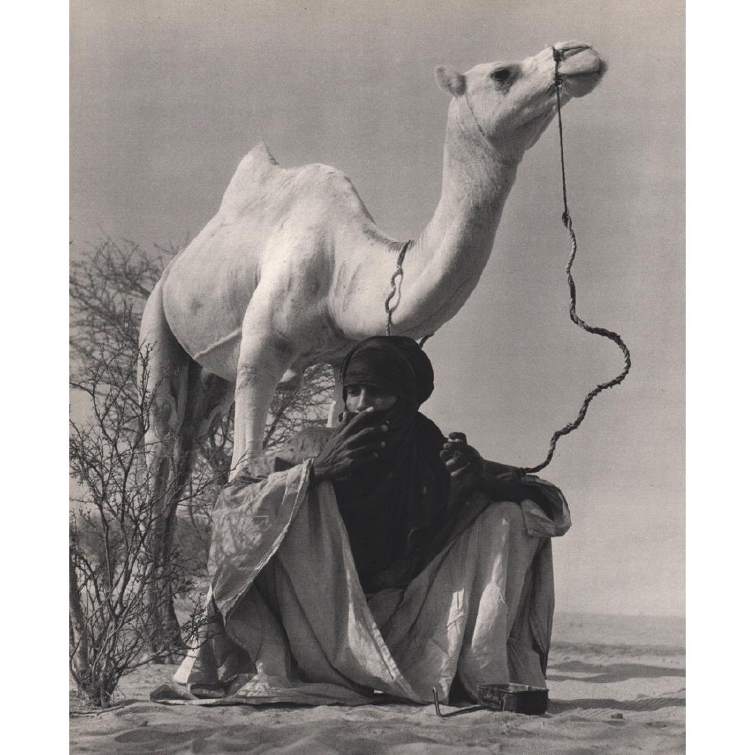 PETER W. HAEBERLIN - Targui with his Mehari: Artist: PETER W. HAEBERLIN Print Title: Targui with his Mehari Medium: Sheet-fed Gravure Printing Date: 1950's Printed in Switzerland Image Size approx: 8.5 X 10 inches Peter Werner Haeberlin (1912-19