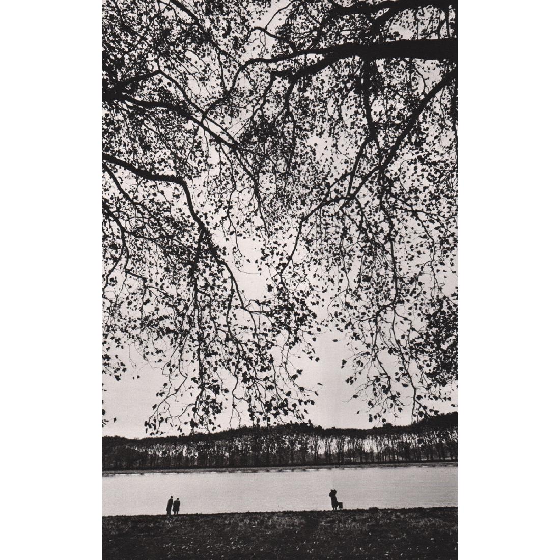 JEANLOUP SIEFF - Japanese Landscape in Versailles, 1974: Artist: JEANLOUP SIEFF Print Title: Japanese Landscape in Versailles, 1974 Medium: Sheet-Fed Gravure Printing Date: 1980's Printed in France Image Size approx: 5.75 x 8.75 inches Jeanloup Sieff (1933-
