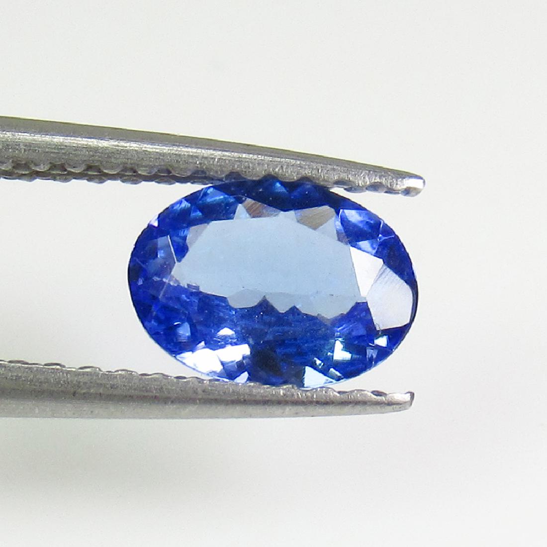 0.74 Ctw Natural Tanzanite 7X5 mm Oval Cut: No Reserve! Title: 0.74 Ctw Natural Tanzanite 7X5 mm Oval Cut Stone Clarity: VVS Gemstones: Natural Tanzanite Carat Weights: 0.74 Size/Dimensions: 7.00 x 5.10 x 2.70 mm Additional Information: Top Cla