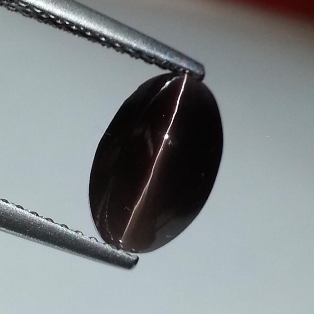 3.40 ct Natural Sillimanite Cat's Eye: No Reserve! Title: 3.40 ct Natural Sillimanite Cat's Eye Color/Clarity: Opaque Gemstones: Loosegemstone Carat Weights: 3.4 Size/Dimensions: 10.20 x 6.60 x 5.70 Additional Information: Oval - Africa