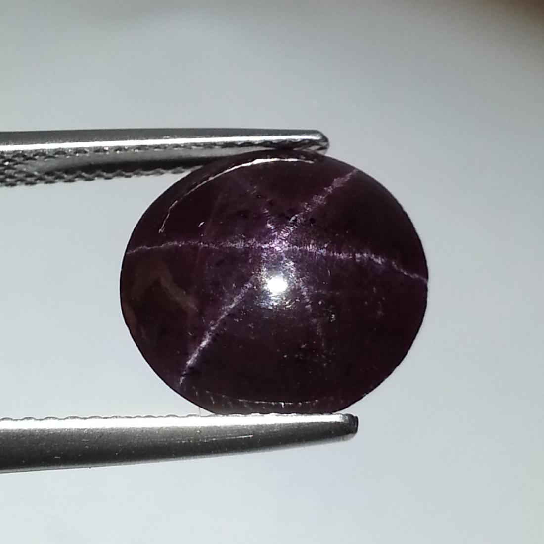 10.70 ct Top Quality Six Ray Star Garnet (1 of 6)