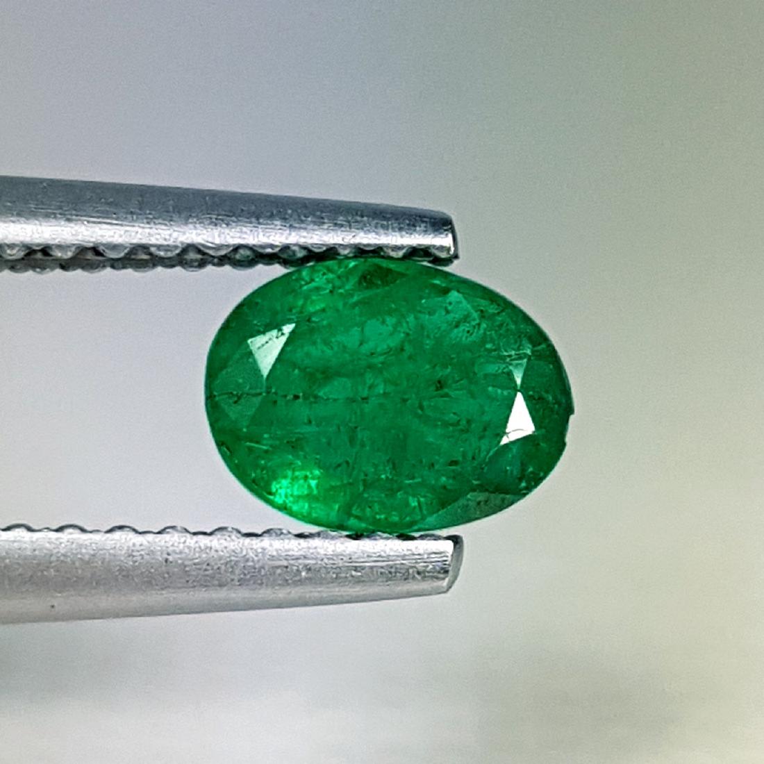 0.60 ct Top Green Gem Oval Cut Natural Emerald (1 of 6)