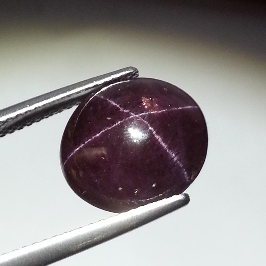 15.75 ct Top Quality Four Ray Star Garnet (1 of 6)