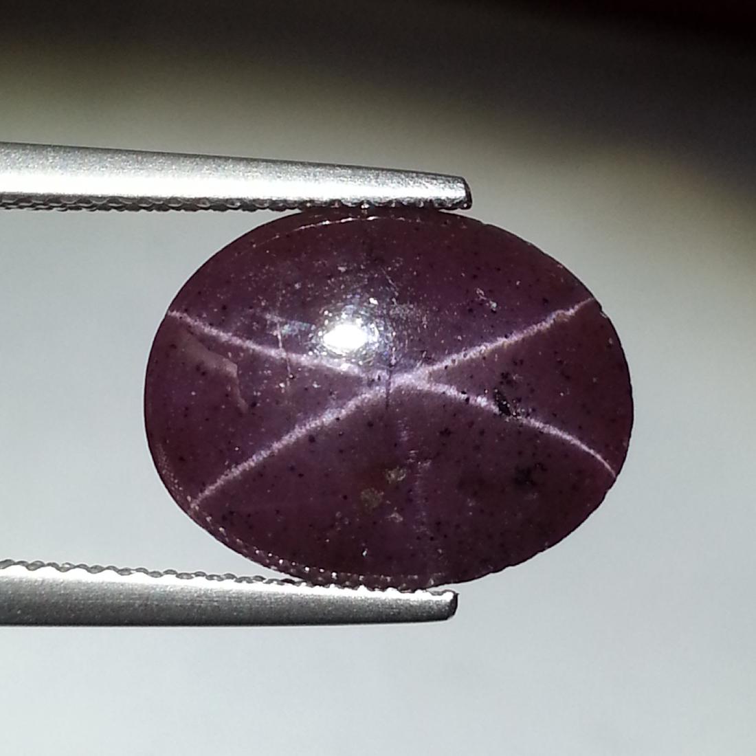 7.45 ct Top Quality Four Ray Star Garnet (1 of 6)