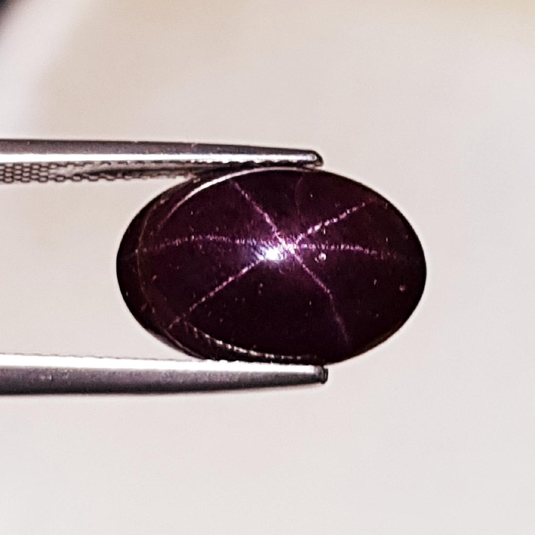 14.94 ct Top Quality Six Ray Star Garnet (1 of 4)