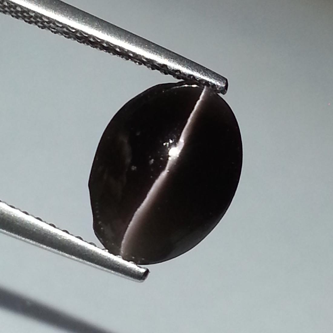 4.85 ct Natural Sillimanite Cat's Eye: No Reserve! Title: 4.85 ct Natural Sillimanite Cat's Eye Color/Clarity: Opaque Gemstones: Loosegemstone Carat Weights: 4.85 Size/Dimensions: 11.60 x 8.60 x 5.75 Additional Information: Oval - Africa <
