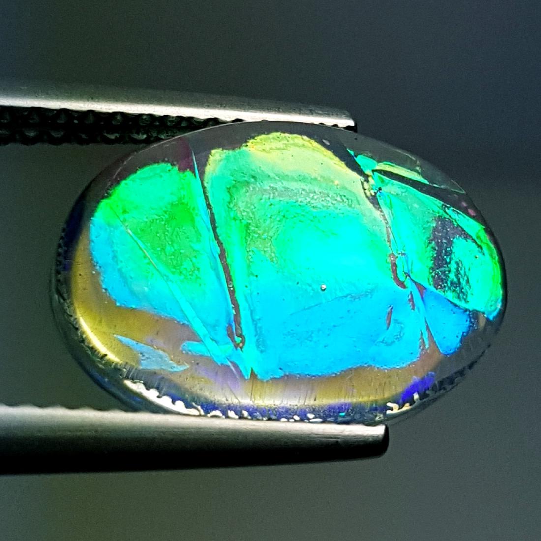 5.60 ct Australian Doublet Opal (1 of 6)